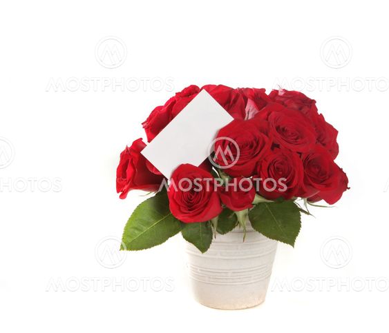 Beautiful Bouquet of Roses With Blank Message Sign on White