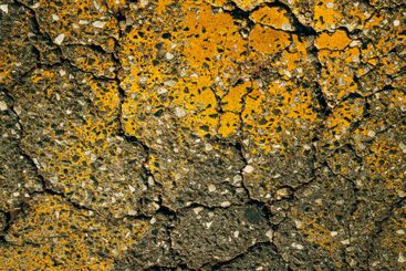 Worn yellow paint surface on cracked asphalt road