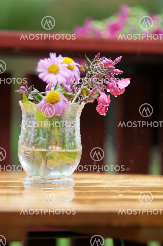 Sommer blomster. Lyse farver.