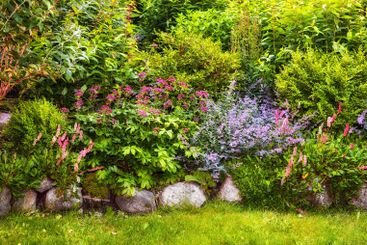 Garden design, perennial and flower growth in nature for...