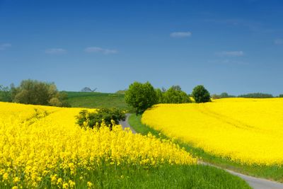 Landscape in West Pomerania in spring
