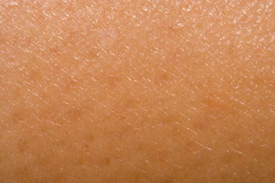 Human skin pattern