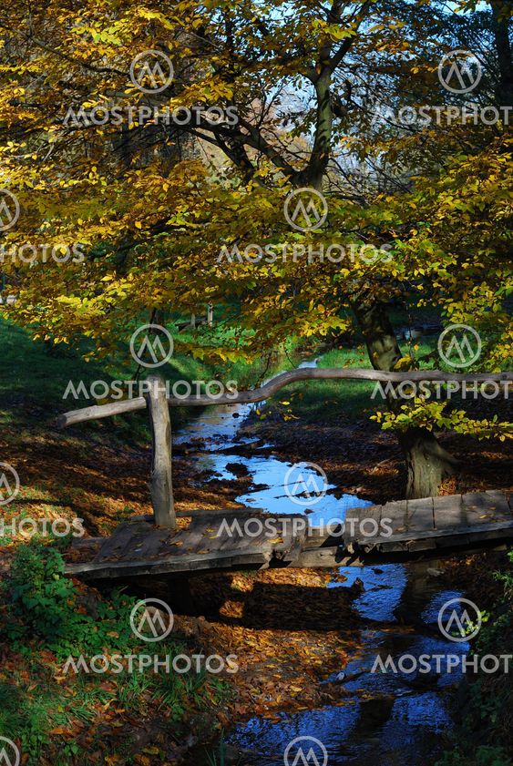 Wooden bridge and stream