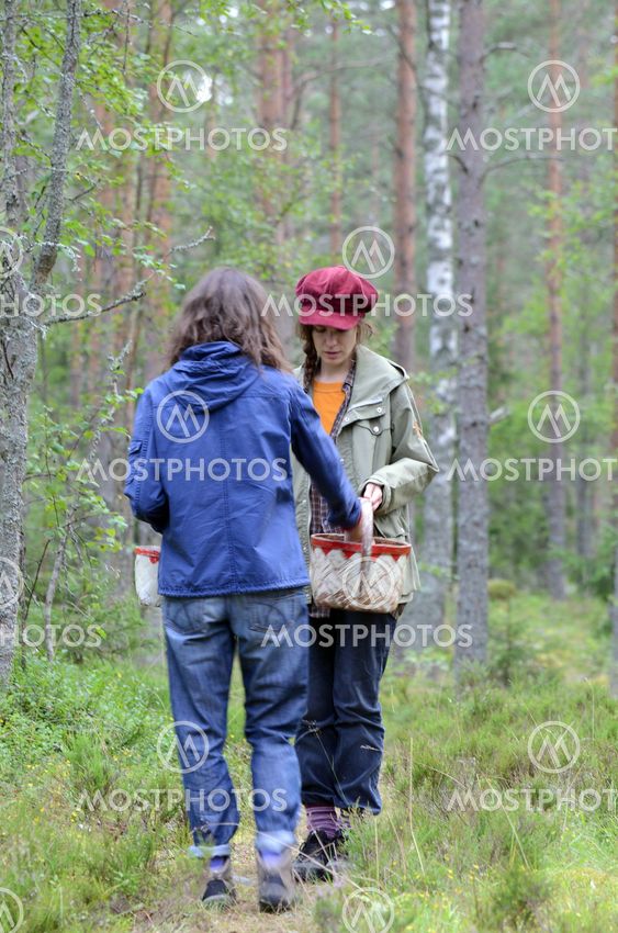 Berry pickers