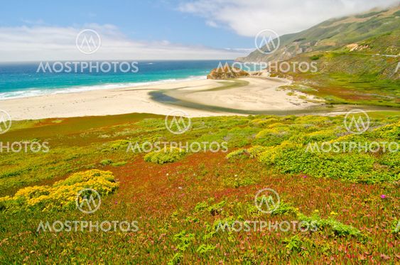 A beach at low tide at Big Sur, California