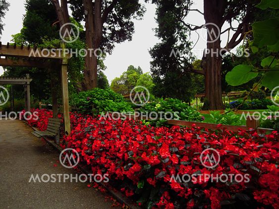 Garden Landscape