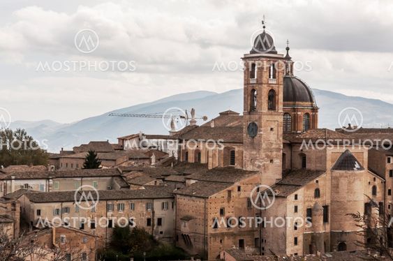 Urbino