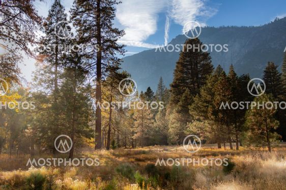 Scenic fall colors in Yosemite Valley with a meadow and...