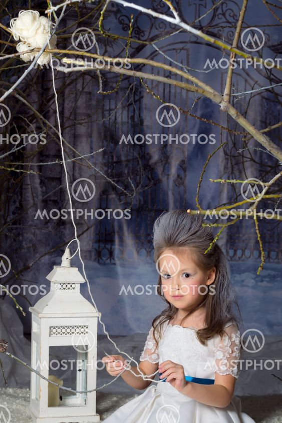Snow Princess