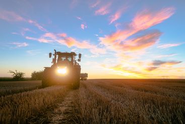 Tractor on harvested grain field during dusk