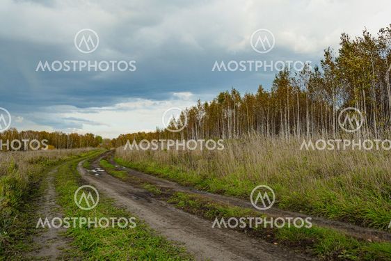 Autumn landscape with dirt road. Rural road in autumn...