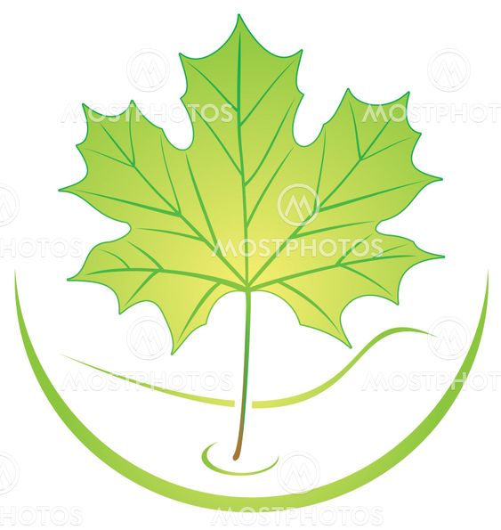 Leaf logo