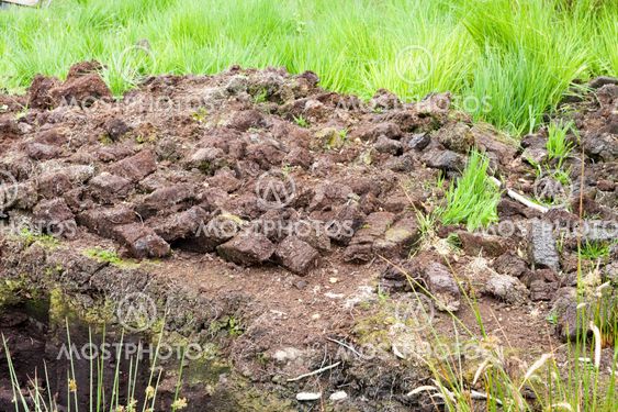 Cut Peat