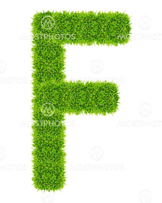 green grass letter F Isolated