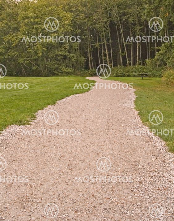 Gravel Path into Woods