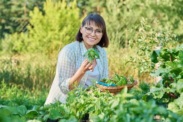Smiling woman with harvest of basil leaves in summer...