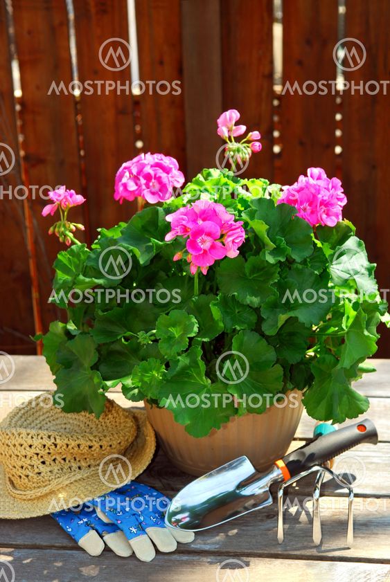 Gardening tools