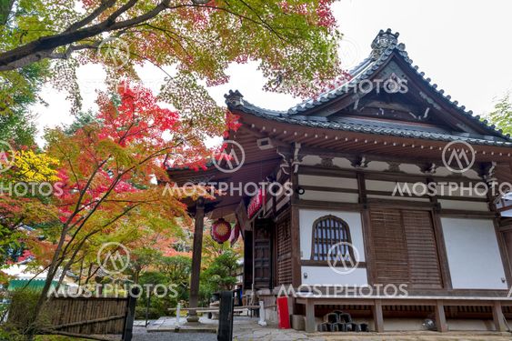 Kyoto, Japan - November 2016: Sekizan Zen-in, Japanese temple in Kyoto during autumn