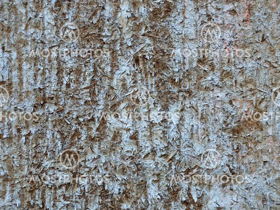 Worn-out Wooden Door Surface