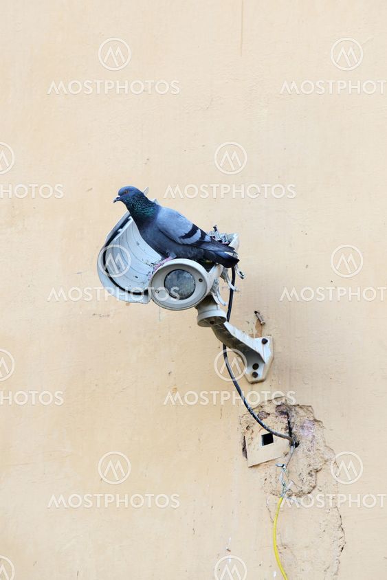 Post-modern surveillance technique