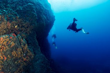 three scuba divers diving near of a rocky wall