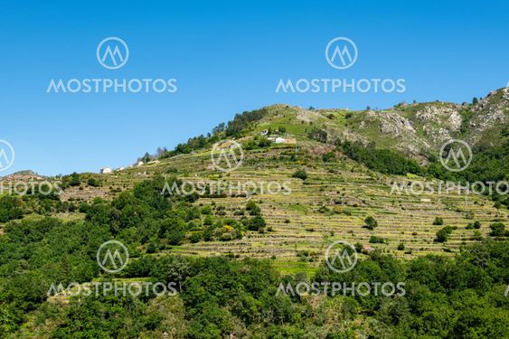 Viewpoit of Sistelo's terraces