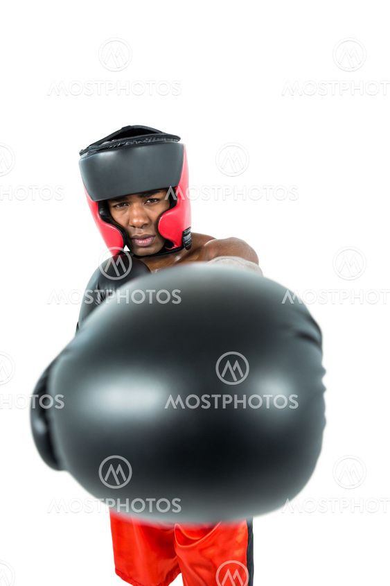 Boxer performing upright stance