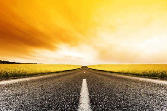 Canola Road Sunset