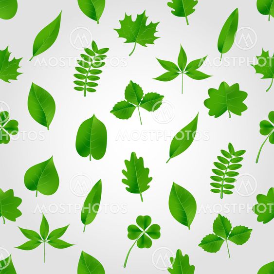 natural green beautiful leaves icon seamless pattern eps10