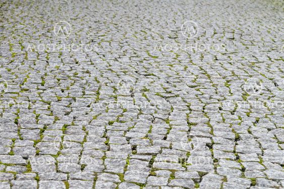 Rough cobblestone pavement with moss