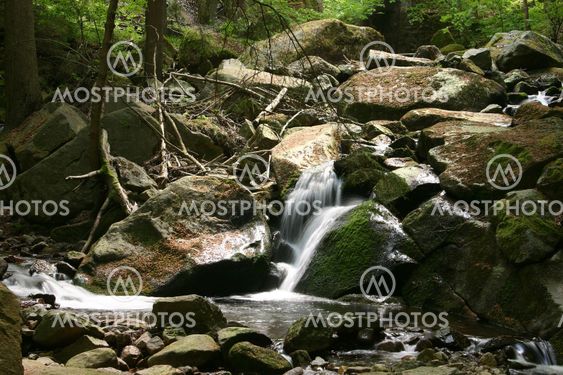 Mountain stream