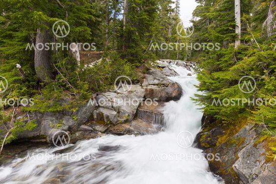 Rapids on the Paradise River