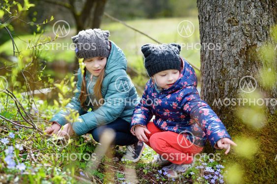 Two little sisters picking the first flowers of spring...