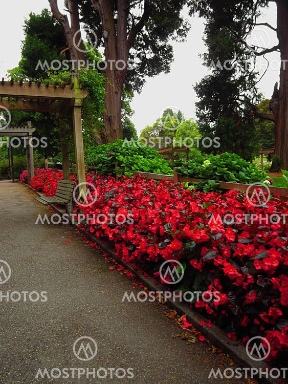 Garden Landscape