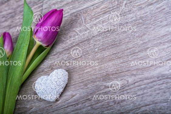 Violet tulip and heart on a wooden background