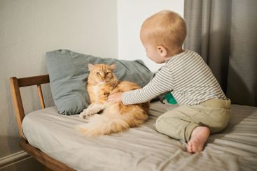 Child, cat and bonding with love and care in home...