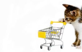 Striped kitten with a shopping basket. Licking his lips...