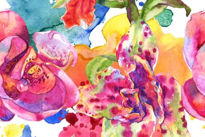 Orchid floral botanical flower. Watercolor background...