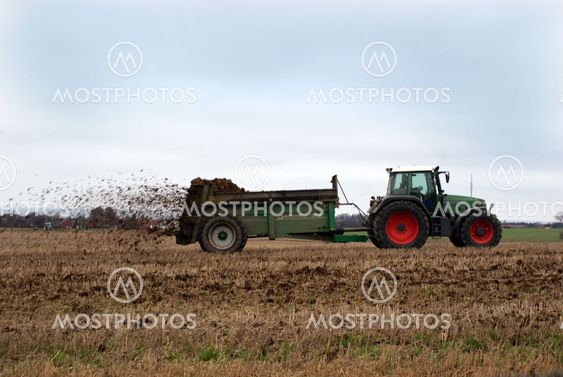 Spreading manure