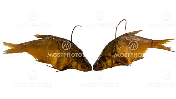 pair smoked bream fish isolated on white