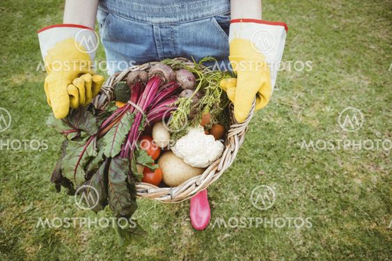 Woman holding a basket of freshly harvested vegetables
