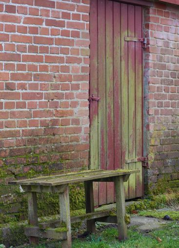 Vintage, door and brick wall with green moss, damage or...