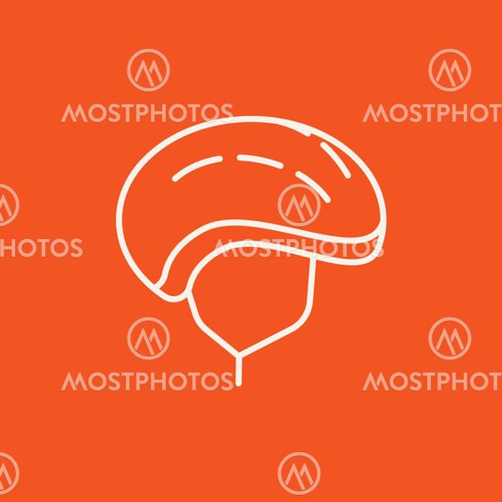 Bicycle helmet line icon.