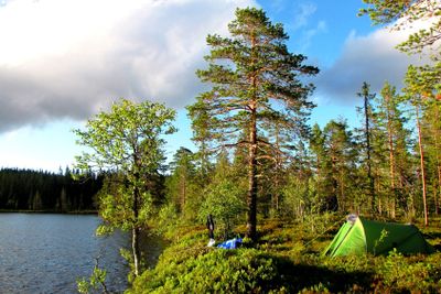 Camping i vildmarken