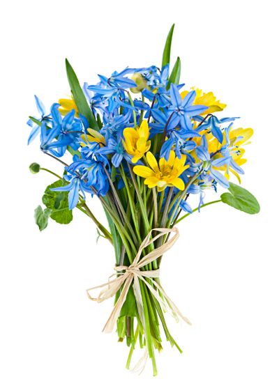 Bouquet of fresh spring flowers
