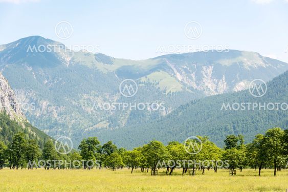 Alps in Austria