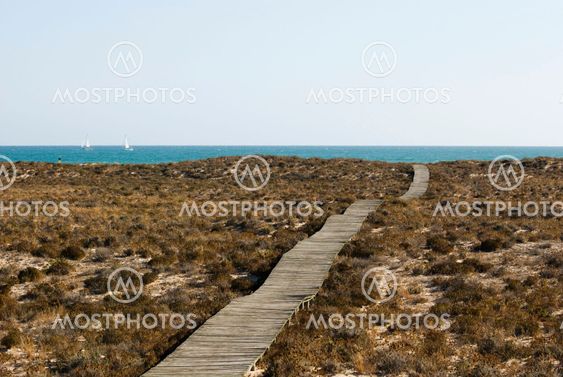 Wooden path to the sea