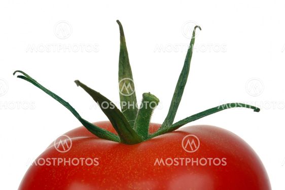 Tomatoes # 07