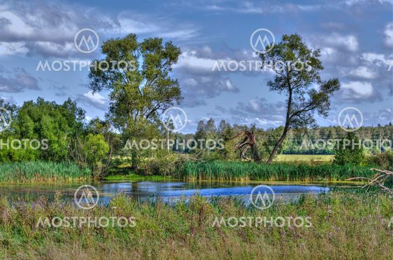 Small lake