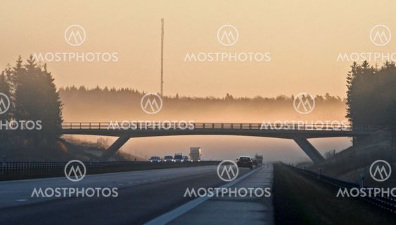 The bridge of fog_2